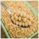 Hydrolyzed Soy Protein Hydrolyzed Soy Protein