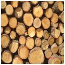 Hydroxyethylcellulose Hydroxyethylcellulose