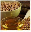 Lecithin Lecithin