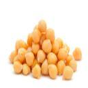 Leucine Leucine