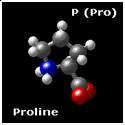 acetylated acetylated